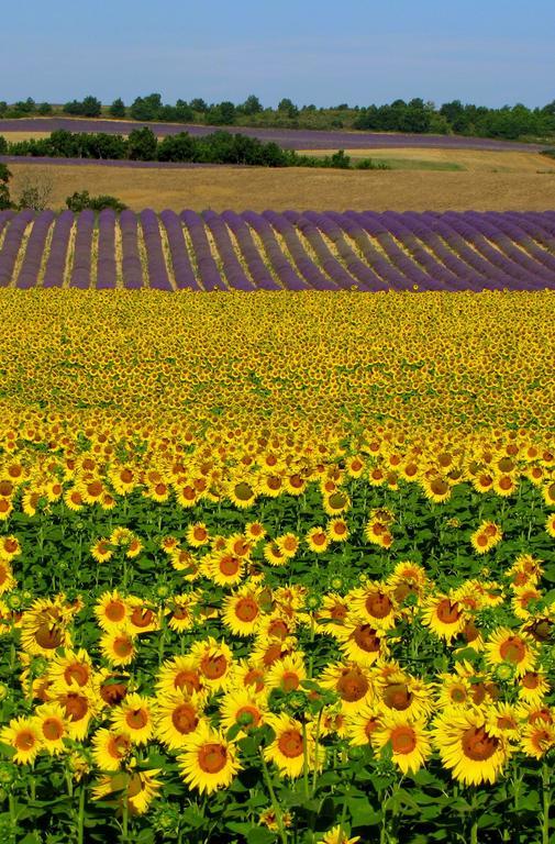 Les Terrasses De Valensole Panzió Kültér fotó