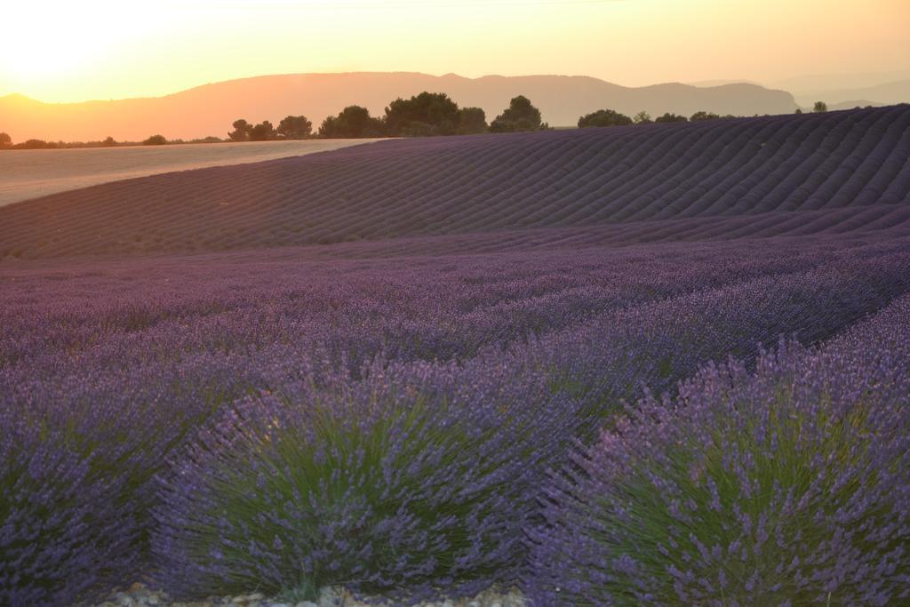 Les Terrasses De Valensole Panzió Kültér fotó