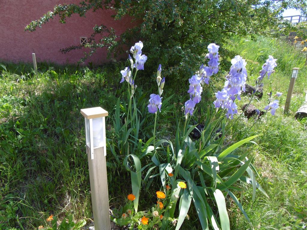 Les Terrasses De Valensole Panzió Kültér fotó